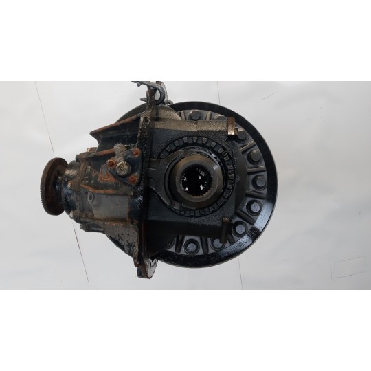 GRUPPO DIFFERENZIALE POSTERIORE MAN TGX  usato
