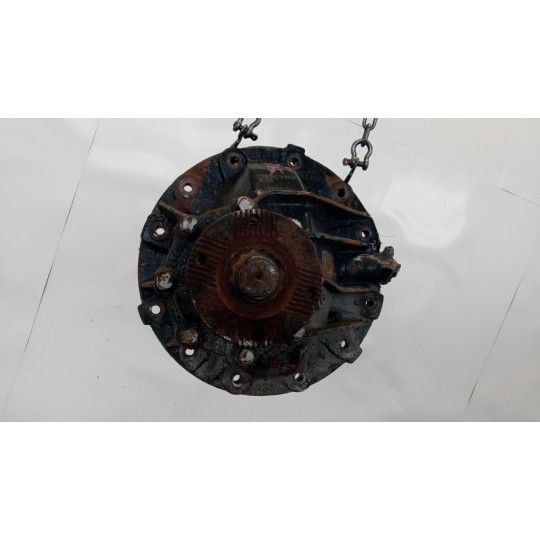 GRUPPO DIFFERENZIALE POSTERIORE MAN TGX  usato