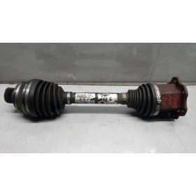 SEMIASSE ANTERIORE DESTRO...