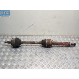 SEMIASSE ANTERIORE DESTRO...