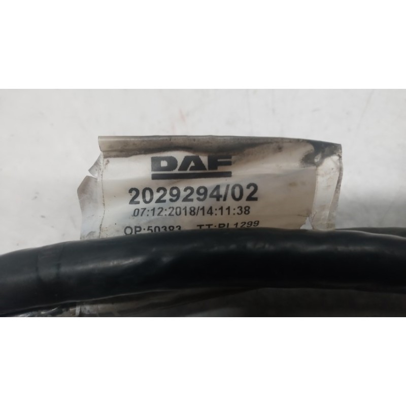 DAF ELETTRICHE VARIE DAF XF106 usato