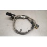 DAF ELETTRICHE VARIE DAF XF106 usato