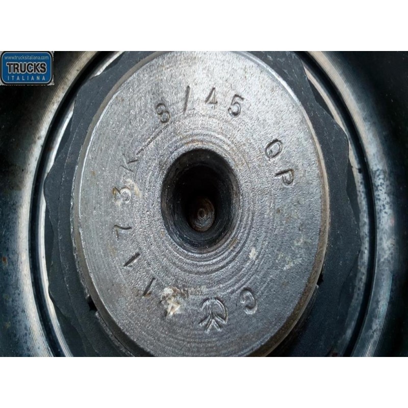 IVECO GRUPPO DIFFERENZIALE POSTERIORE IVECO 175-24 usato