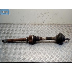 SEMIASSE ANTERIORE DESTRO...