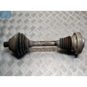 SEMIASSE ANTERIORE SINISTRO...