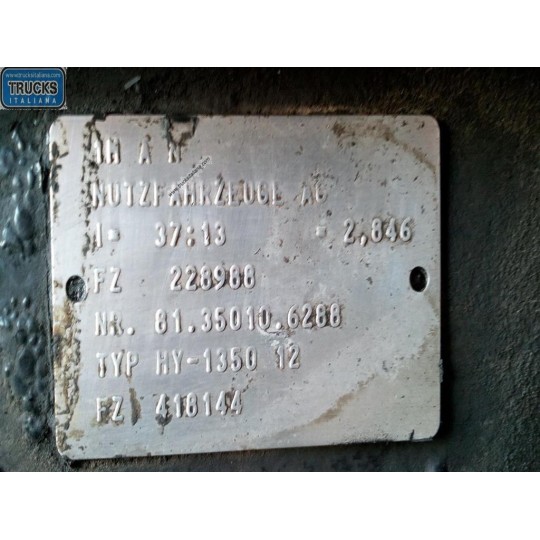 GRUPPO DIFFERENZIALE POSTERIORE MAN TGX  usato