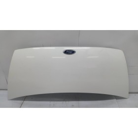 FRONT HOODS FORD van...