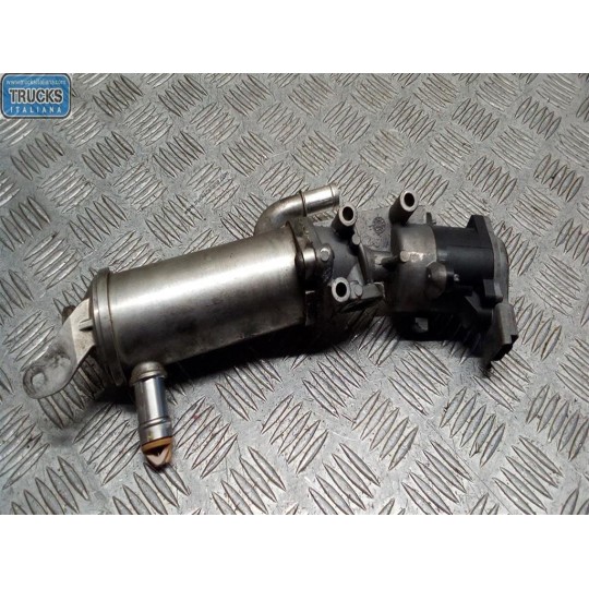 VALVOLA EGR LAND ROVER Range Rover Sport 2005>2010 usato