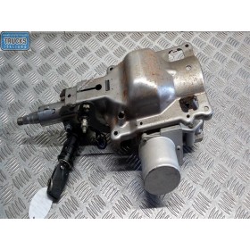 PIANTONE STERZO LANCIA Musa...