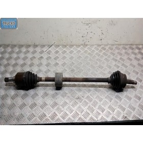 SEMIASSE ANTERIORE DESTRO...