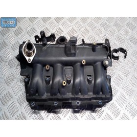 COLLETTORE LANCIA Musa...