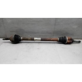 SEMIASSE ANTERIORE DESTRO...