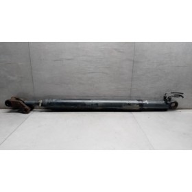 CAB LIFT PISTON  DAF XF105...