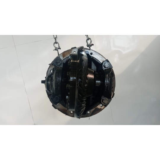 GRUPPO DIFFERENZIALE POSTERIORE MAN TGX  usato