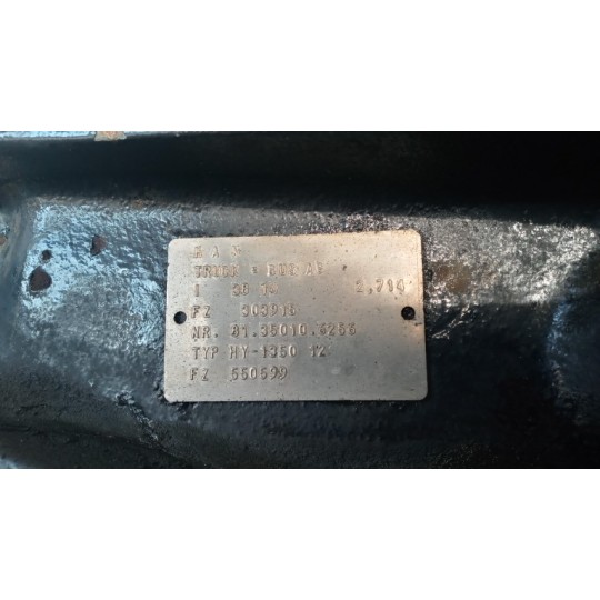 GRUPPO DIFFERENZIALE POSTERIORE MAN TGX  usato