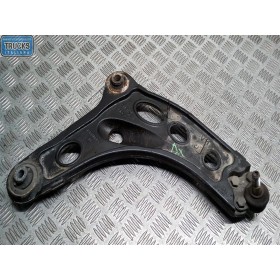 BRACCIO OSCILLANTE...