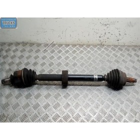 SEMIASSE ANTERIORE DESTRO...