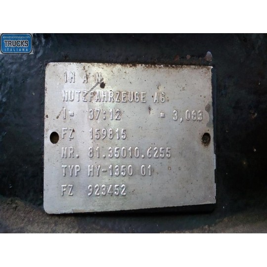 GRUPPO DIFFERENZIALE POSTERIORE MAN TG-A 2000>2007 usato