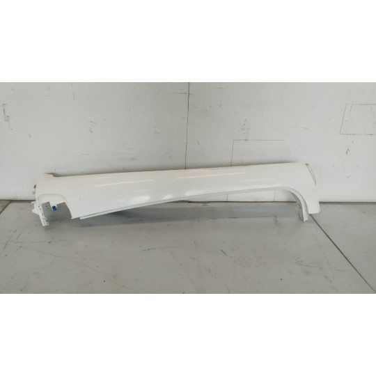 PLASTICHE ESTERNE VARIE MAN TGS used