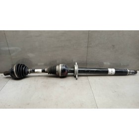 SEMIASSE ANTERIORE DESTRO...