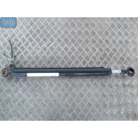 PISTONE ALZA CABINA MAN TGX...