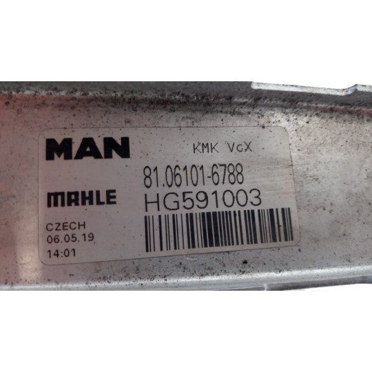 RADIATORE ACQUA MAN TGX  usato