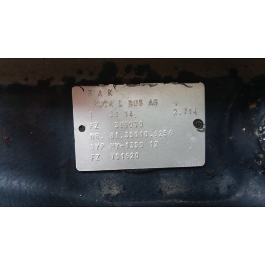 GRUPPO DIFFERENZIALE POSTERIORE MAN TGX euro 6 usato