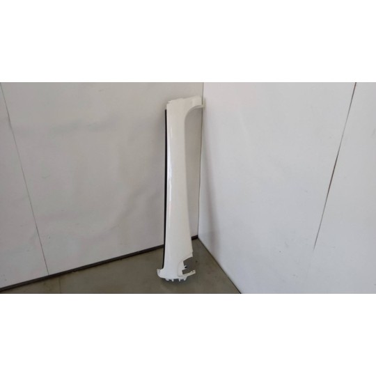 PLASTICHE ESTERNE VARIE MAN TGX euro 6 usato