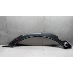 PLASTICHE ESTERNE VARIE MAN...