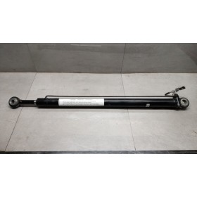 PISTONE ALZA CABINA MAN TGX...