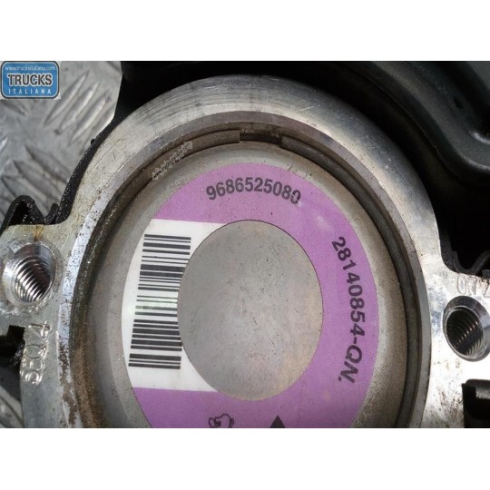 POMPA IDROGUIDA PEUGEOT 206 Plus 2009>2013 usato