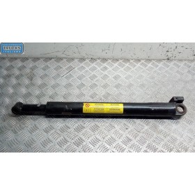CAB LIFT PISTON  IVECO...