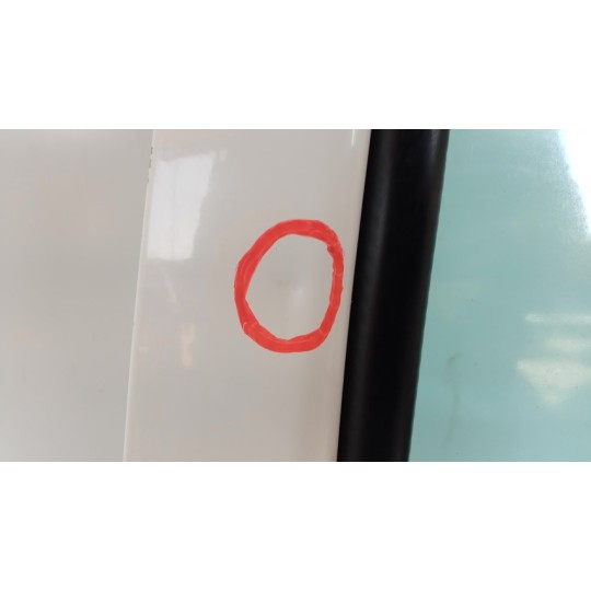 LEFT FRONT DOOR MAN TGX euro 6 used