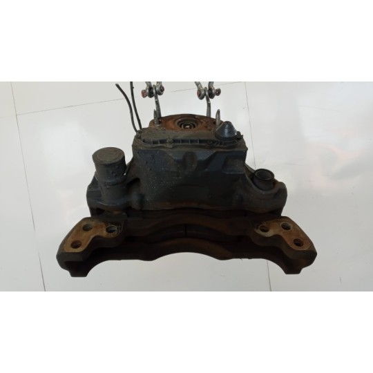 PINZA POSTERIORE DESTRA DAF XF106 usato