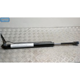 CAB LIFT PISTON  MAN TGL used