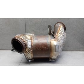 CATALYST 
 MAN TGE used