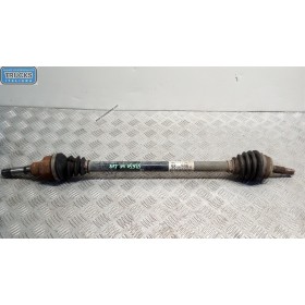 SEMIASSE ANTERIORE DESTRO...