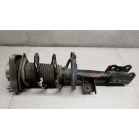 AMMORTIZZATORE ANTERIORE...