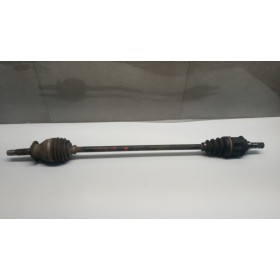 SEMIASSE ANTERIORE DESTRO...