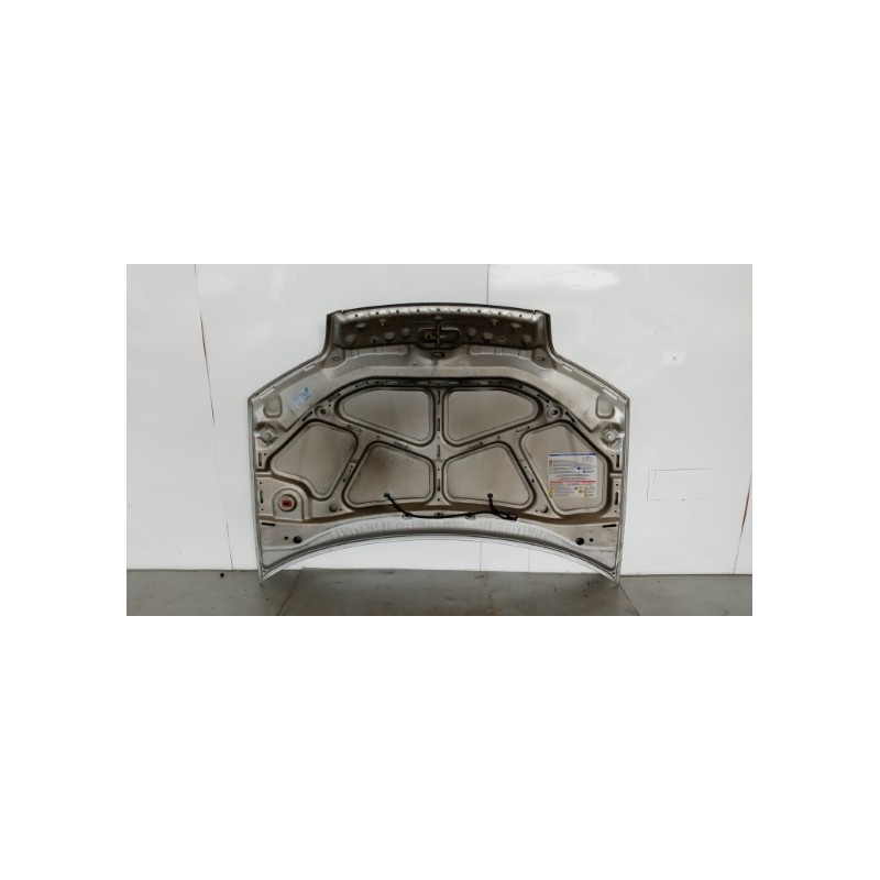 FIAT COFANO ANTERIORE FIAT Punto 2003>2010 usato