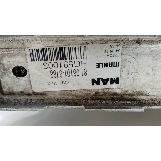 RADIATORE ACQUA MAN TGX euro 6 usato