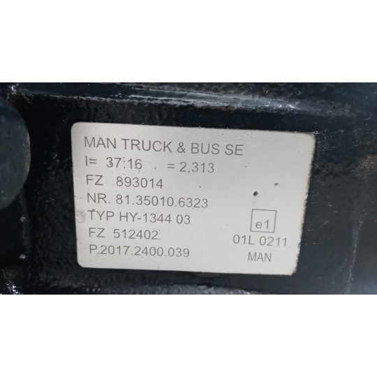 GRUPPO DIFFERENZIALE POSTERIORE MAN TGX euro 6 usato