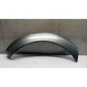 PARAFANGHINO POST  DX...