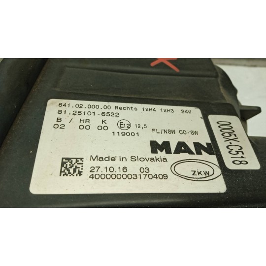 FENDINEBBIA DESTRO MAN TGX euro 6 usato