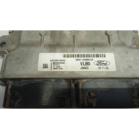 CENTRALINA MOTORE FORD van Transit/Tourneo Custom 2018> usato