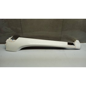 PLASTICHE ESTERNE VARIE MAN...