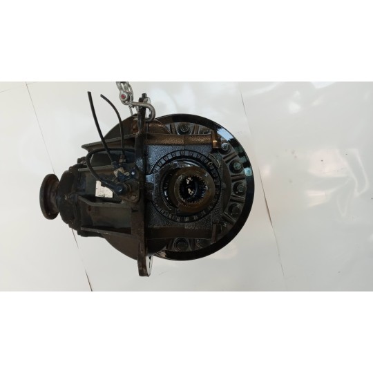 GRUPPO DIFFERENZIALE POSTERIORE MAN TGM usato