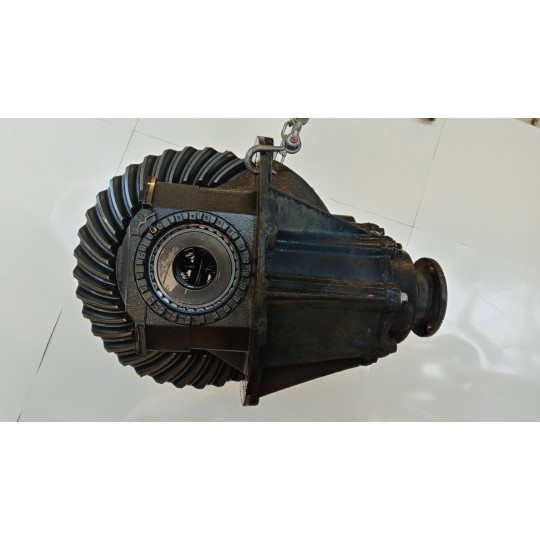 GRUPPO DIFFERENZIALE POSTERIORE MAN TGM usato