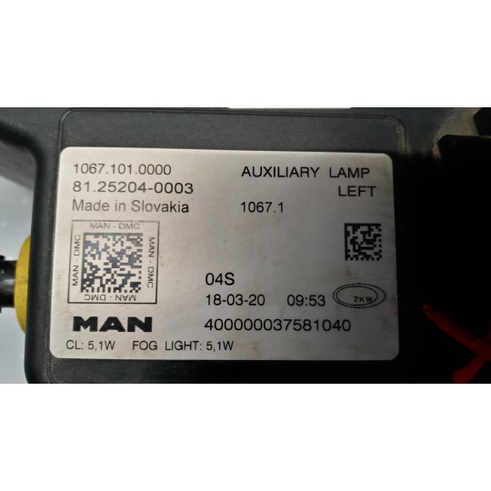 FENDINEBBIA SINISTRO MAN TGX euro 6 usato