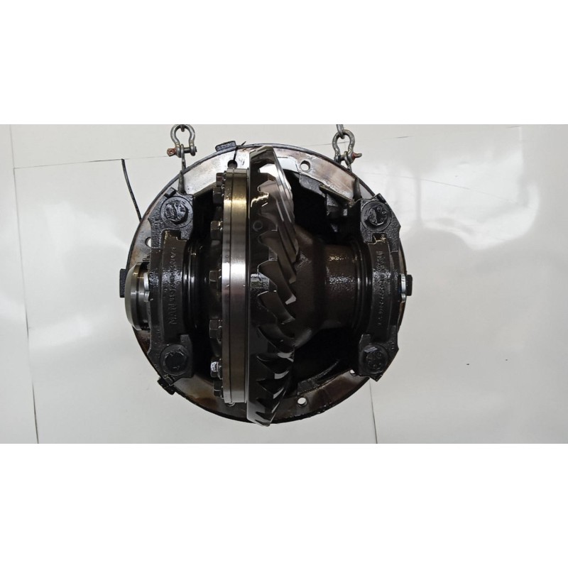 MAN GRUPPO DIFFERENZIALE POSTERIORE MAN TGX euro 6 usato
